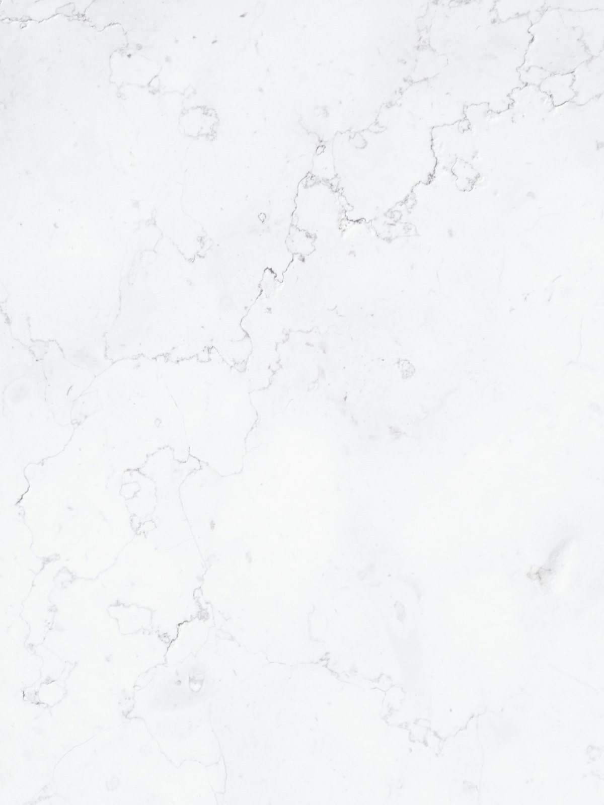 Marmo bianco venato
