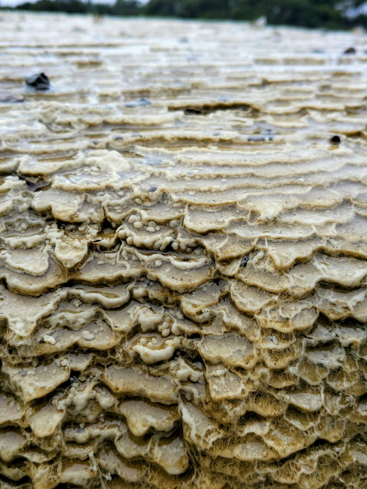 Pietra naturale a spacco